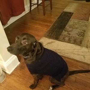 Meet your Posher, Delbra